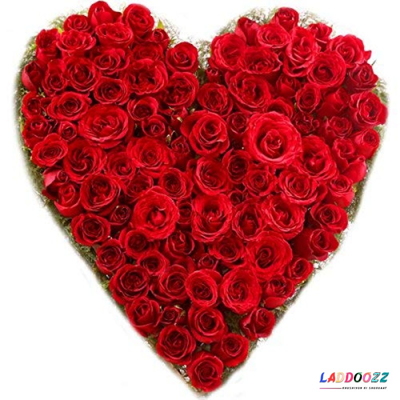 Special Heart Shape Arrangement of 75 Red Roses Fresh Flowers